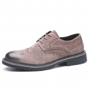 Jarné A Jesenné Brogue Topánky Pánske Kožené Business Šaty Trendové Retro So Špicatou Špičkou
