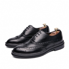 Topánky Brogue Vyrezávané Pánske Shoes Hrubý Spodok Retro Špicatá Špička Obuv 2023